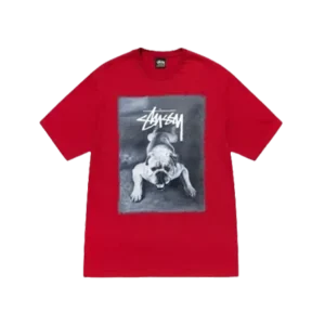 Stussy Bulldog Tee - Red